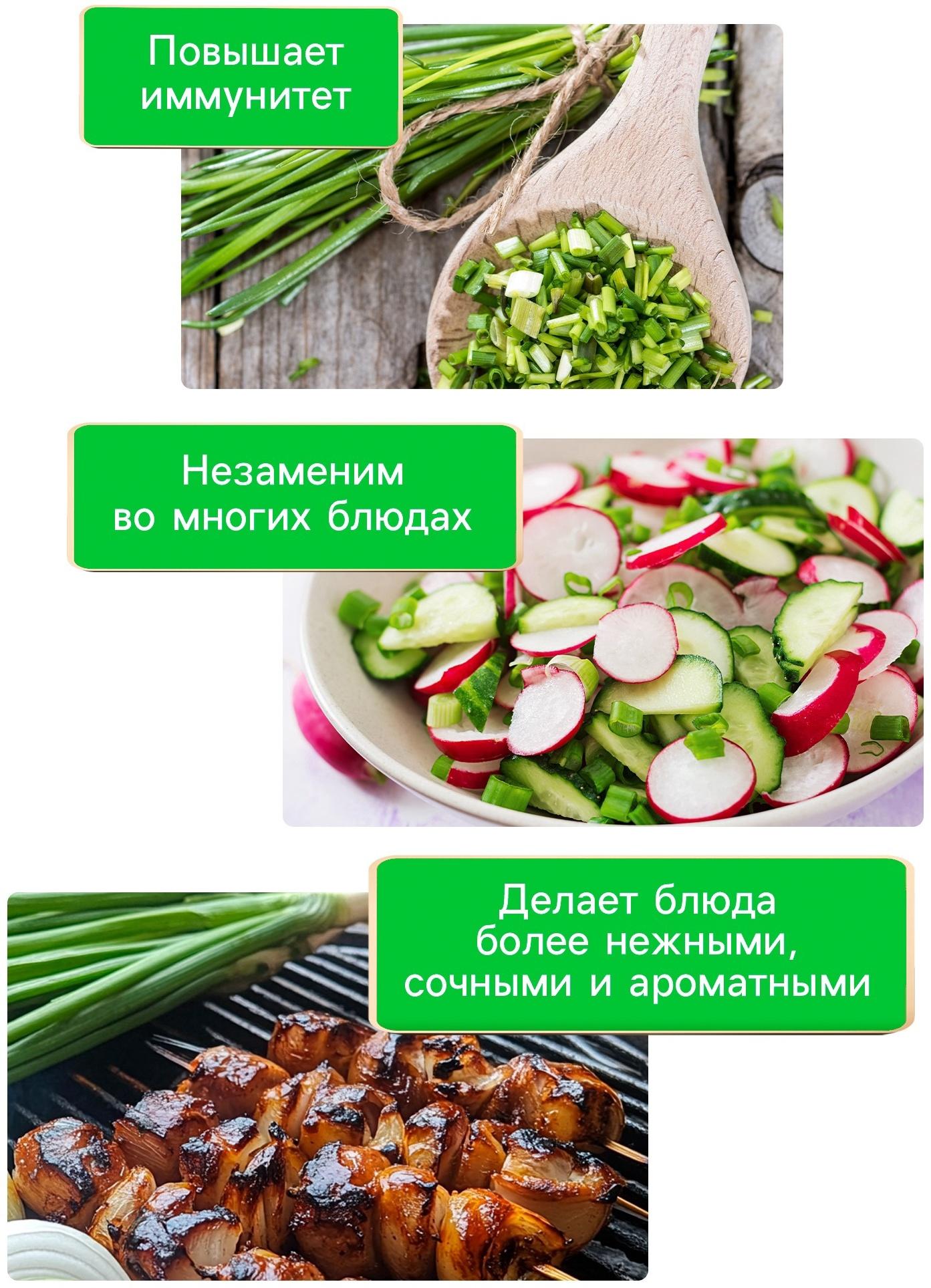 Семена Лук батун 