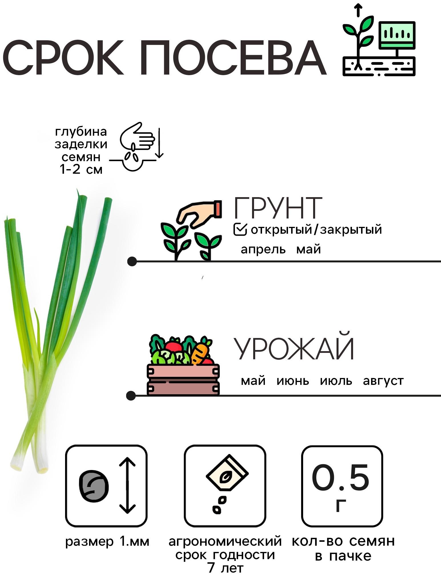 Семена Лук батун 