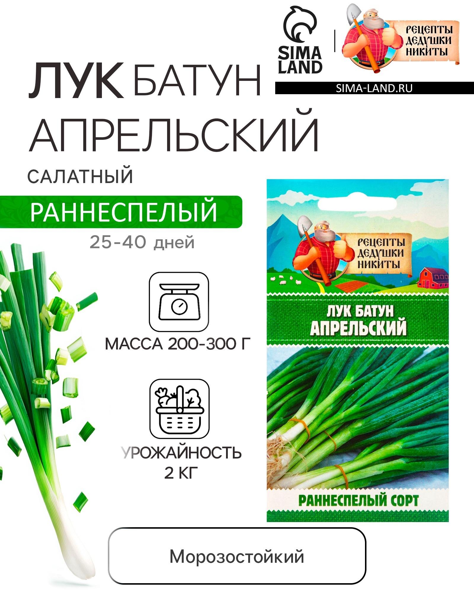 Семена Лук батун 