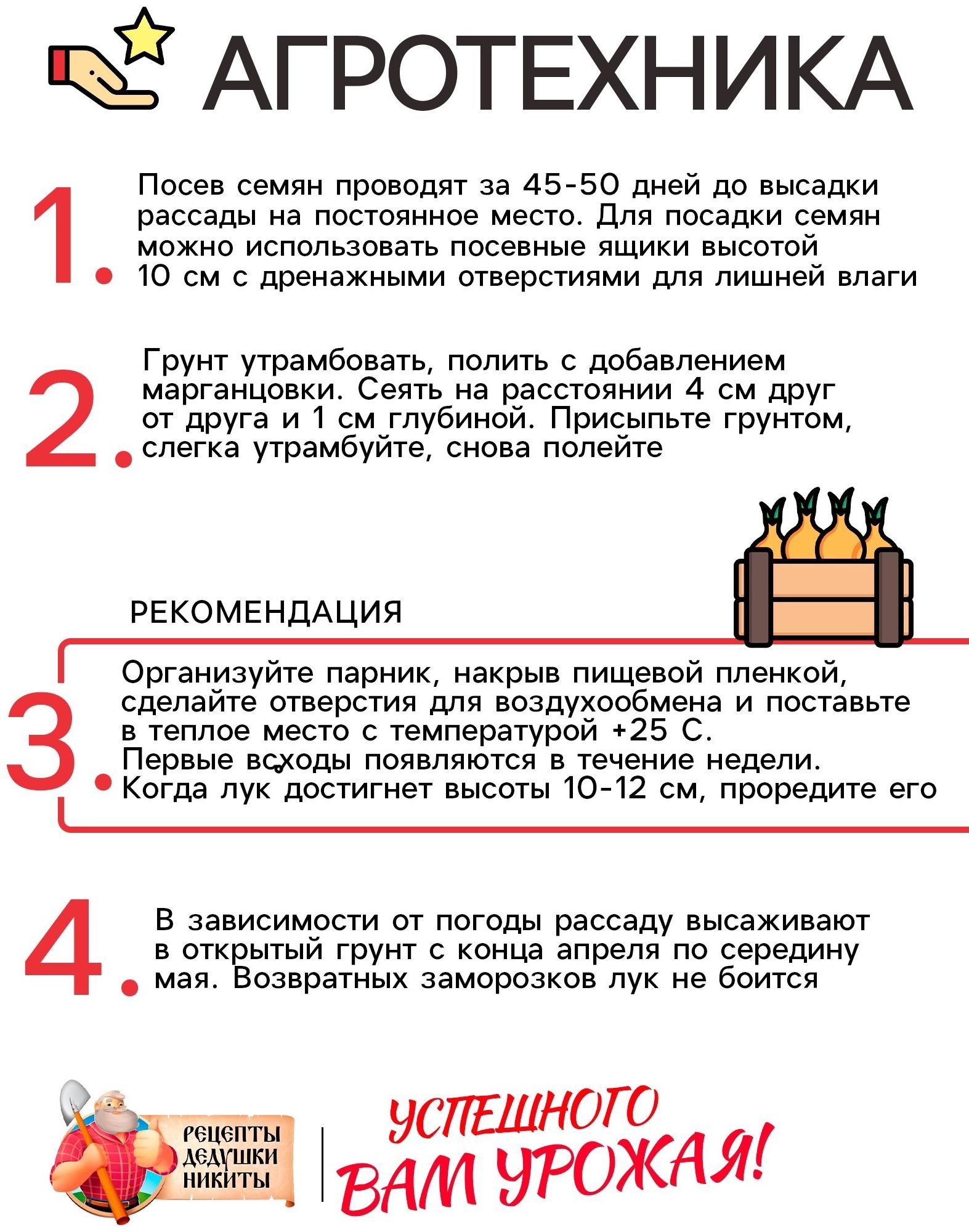 Семена Лук батун 