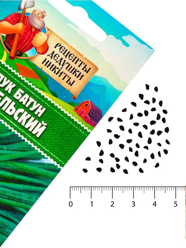 Семена Лук батун 