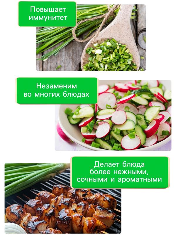 Семена Лук батун 