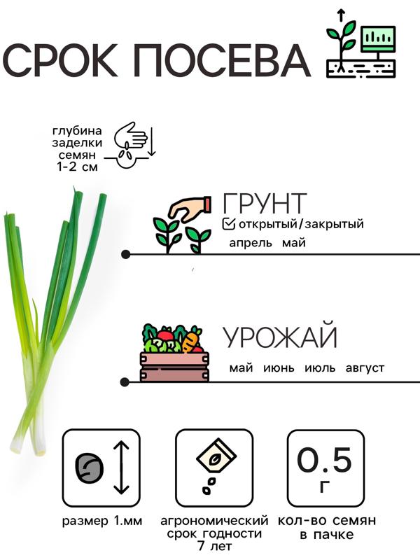 Семена Лук батун 