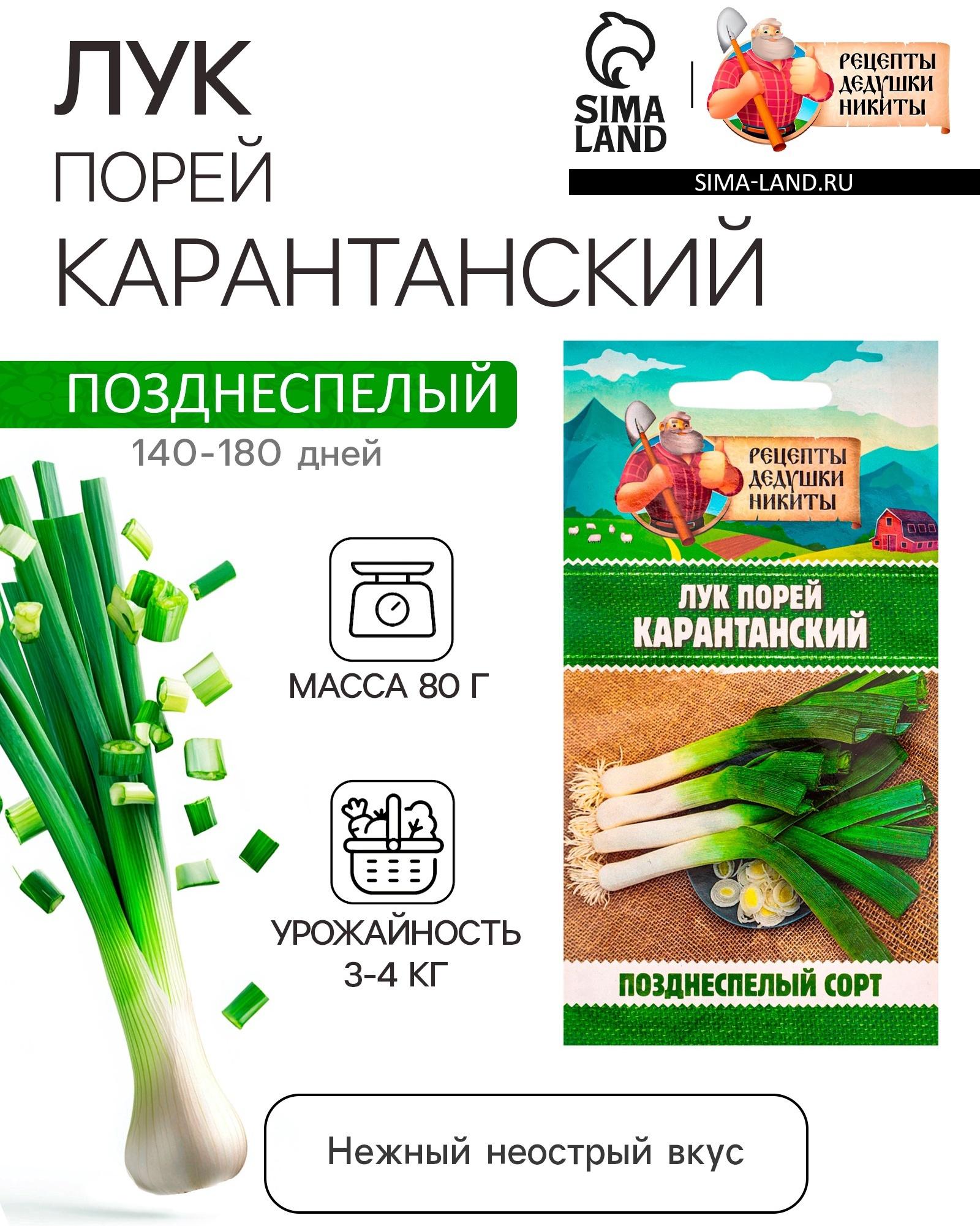 Семена Лук порей 