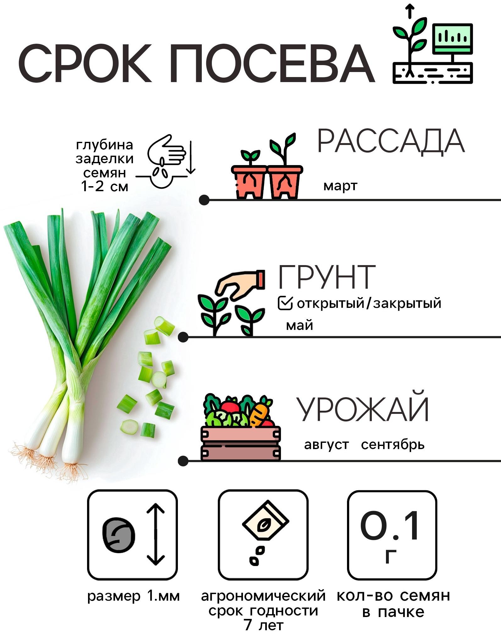 Семена Лук порей 