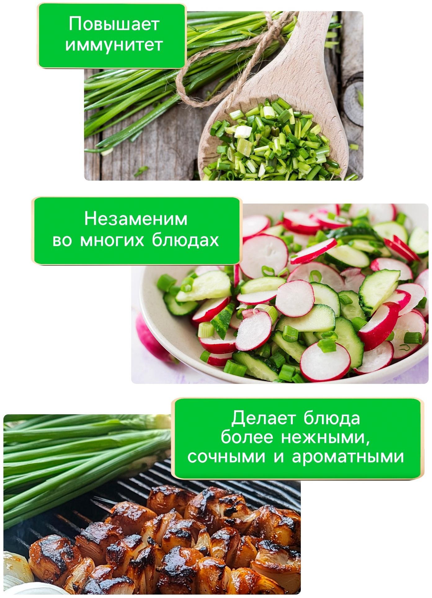 Семена Лук порей 