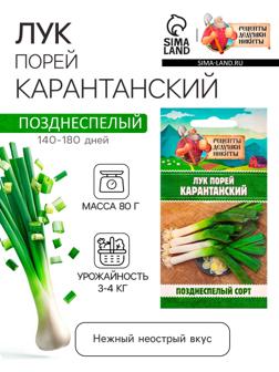 Семена Лук порей 