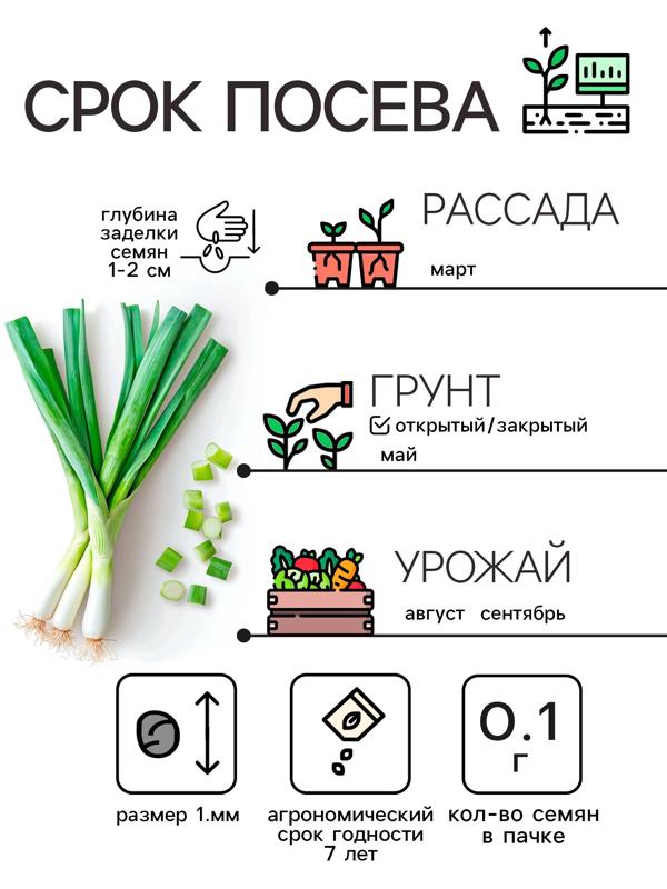 Семена Лук порей 