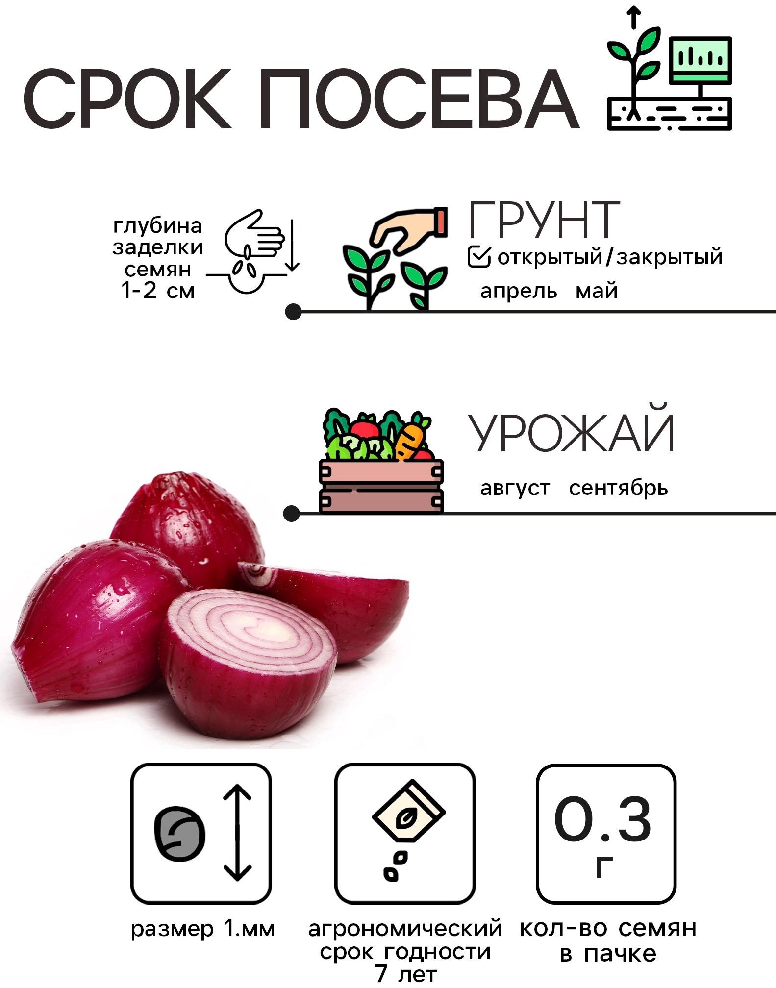 Семена Лук репчатый 