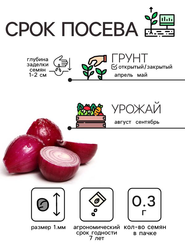 Семена Лук репчатый 