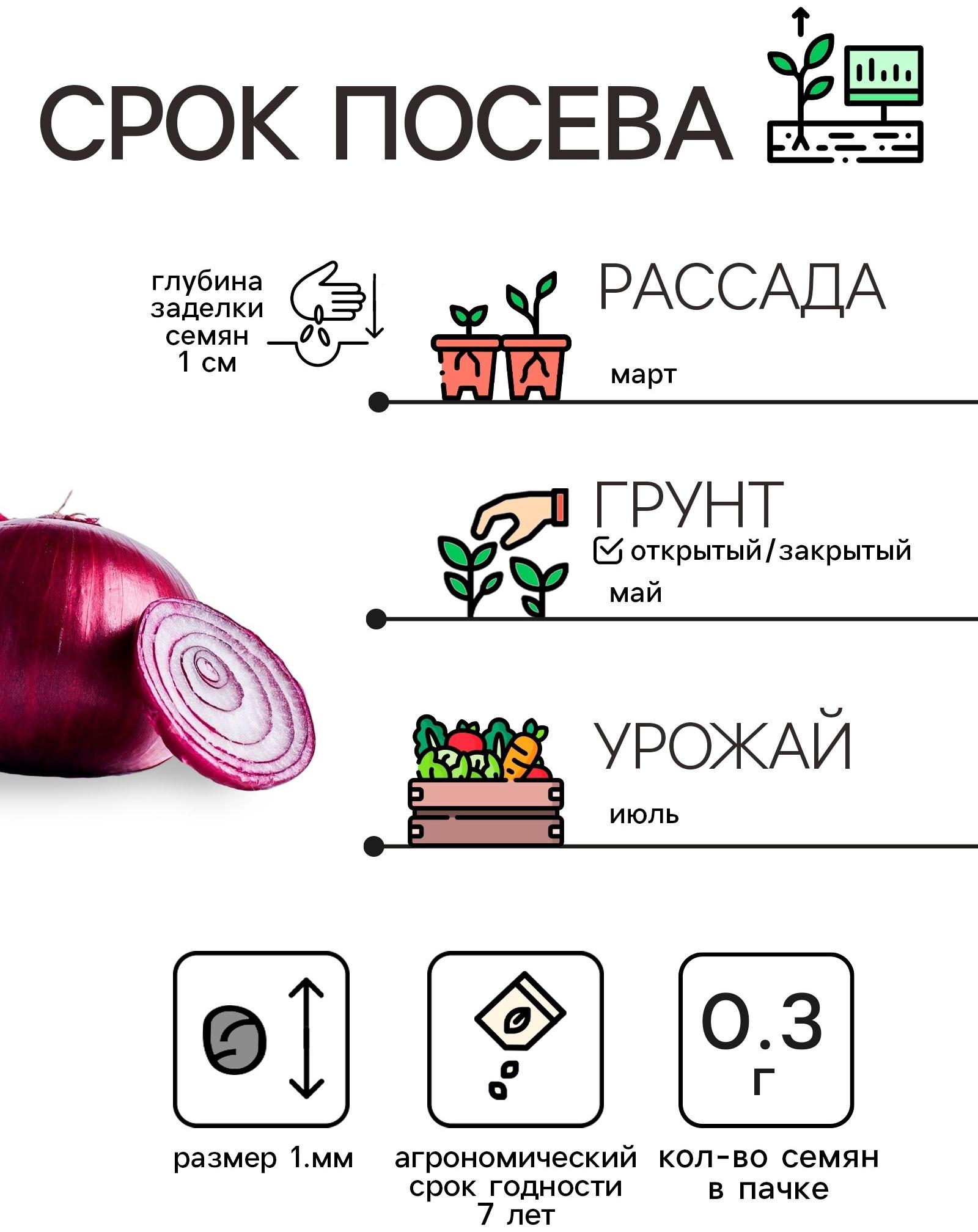 Семена Лук репчатый Красный, 0,3 г