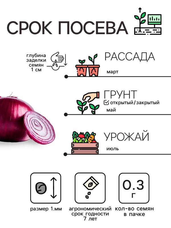 Семена Лук репчатый Красный, 0,3 г