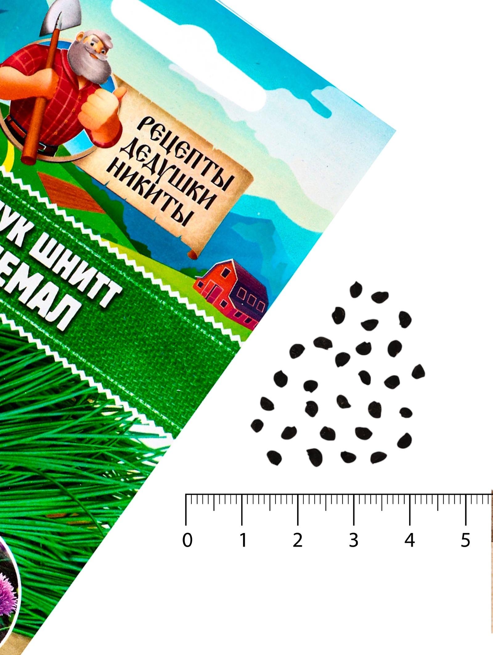 Семена Лук шнитт 