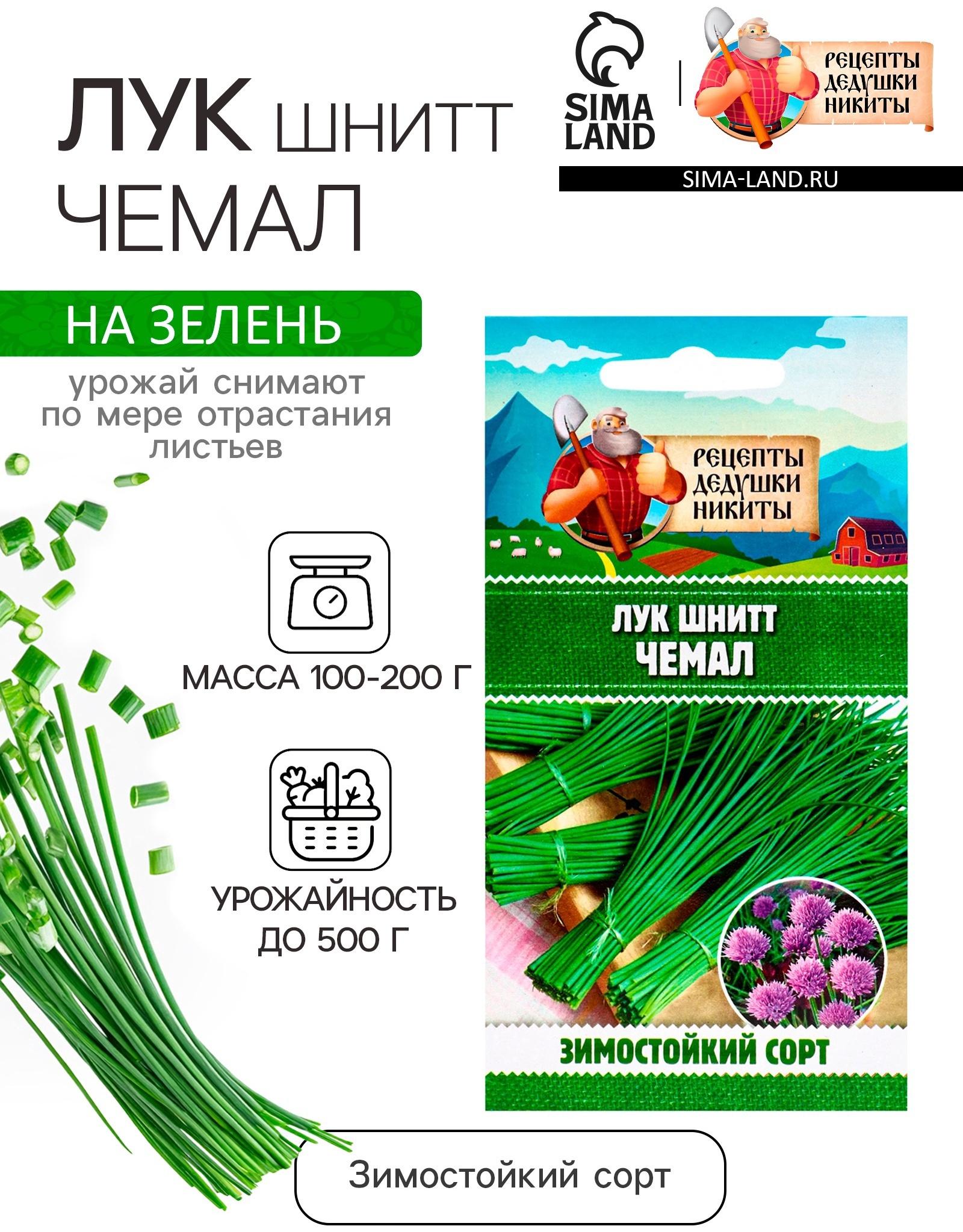 Семена Лук шнитт 