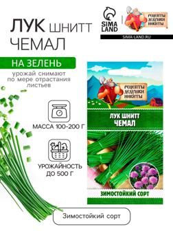 Семена Лук шнитт 