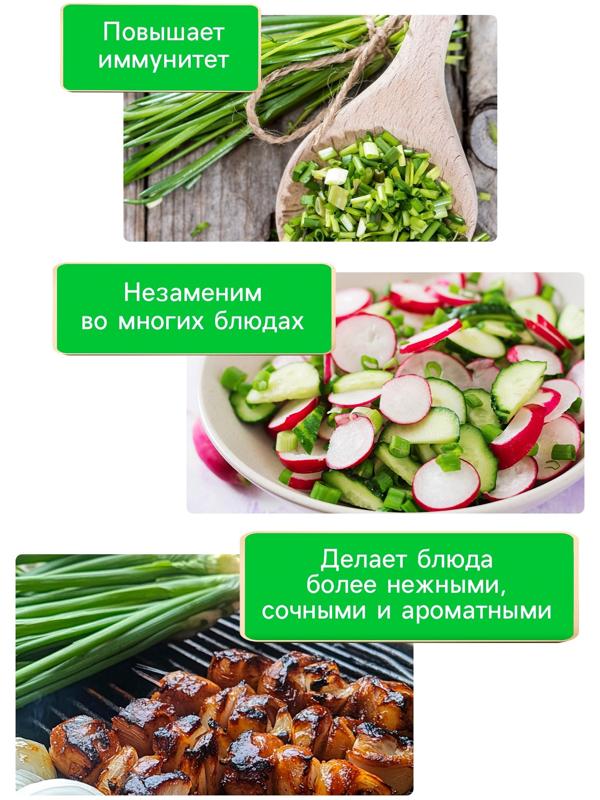 Семена Лук шнитт 