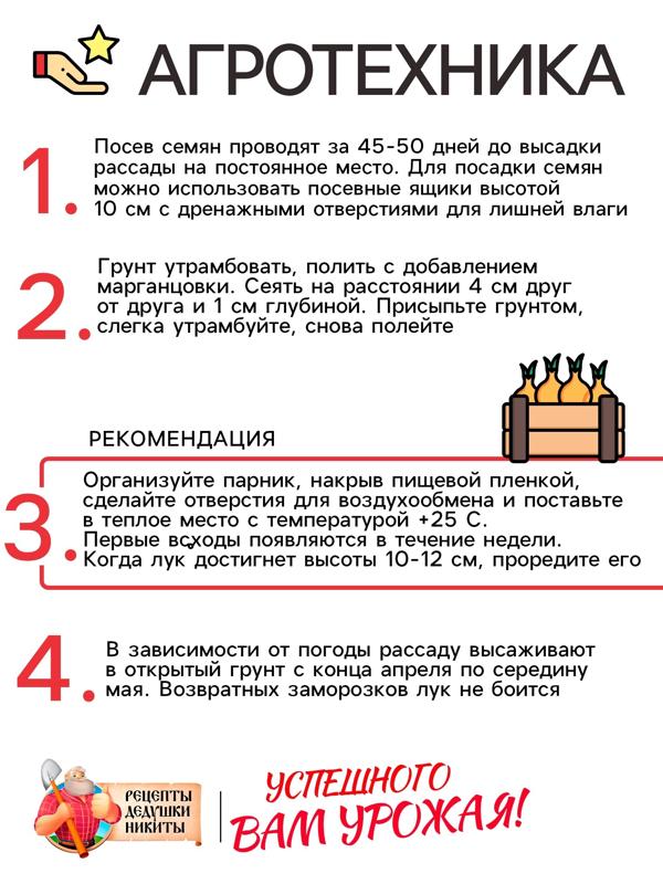 Семена Лук шнитт 