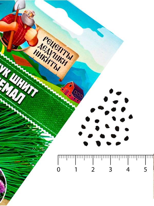 Семена Лук шнитт 