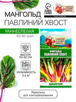 Семена Мангольд 