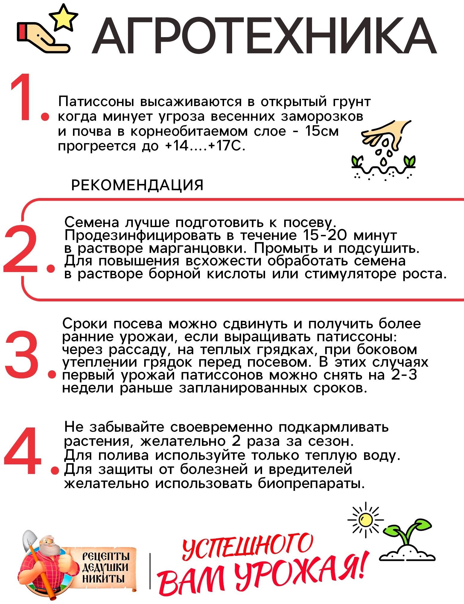 Семена Патиссон 