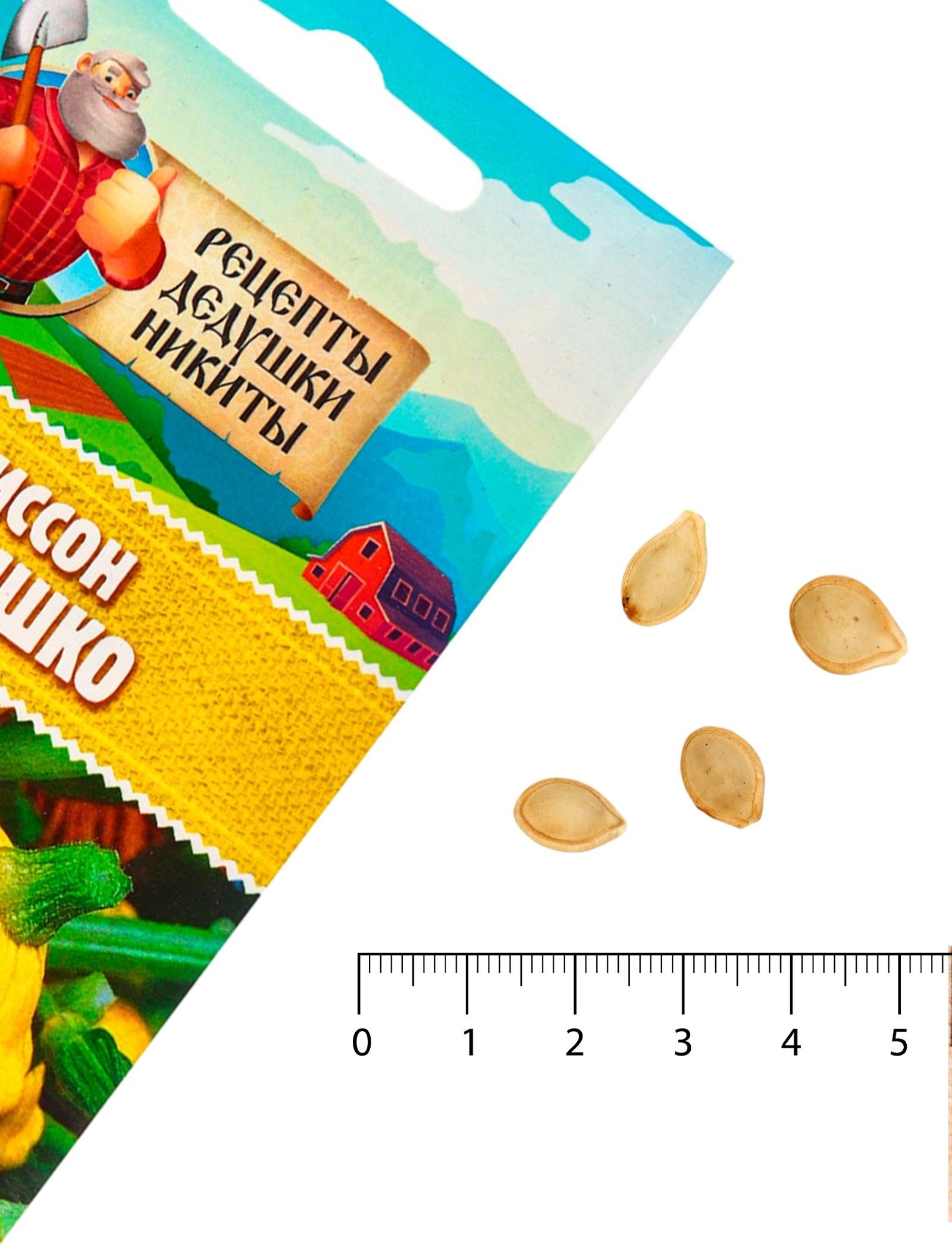 Семена Патиссон 