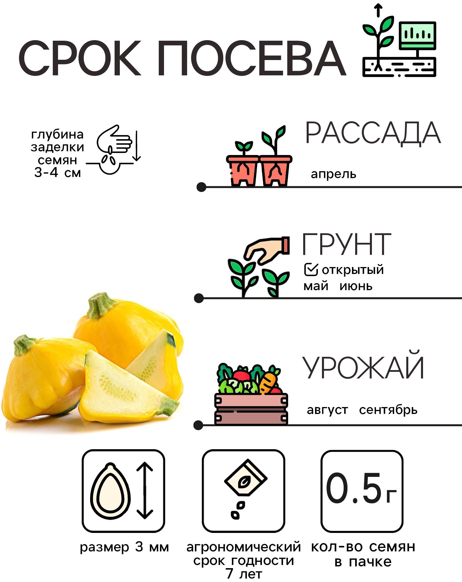 Семена Патиссон 