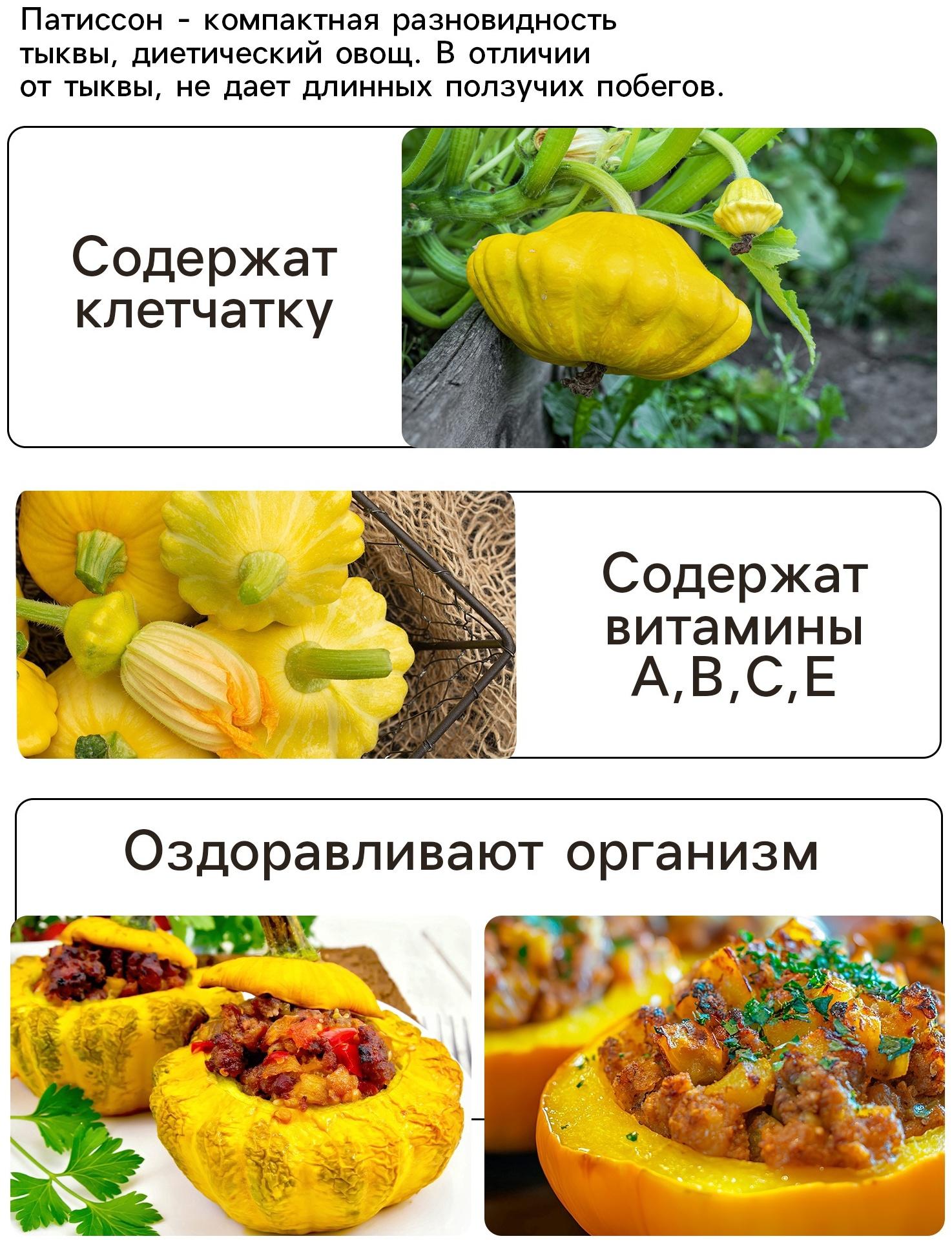 Семена Патиссон 