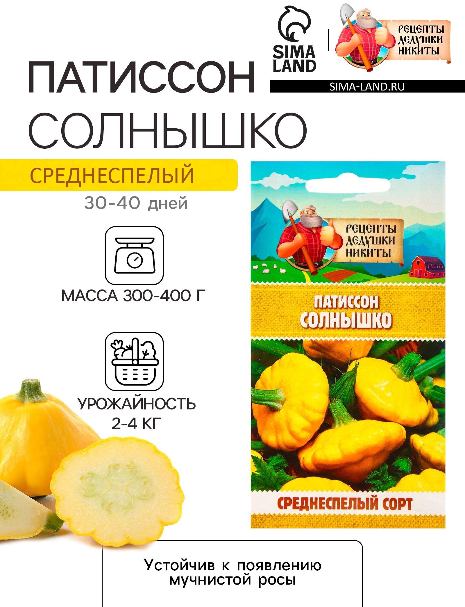 Семена Патиссон 