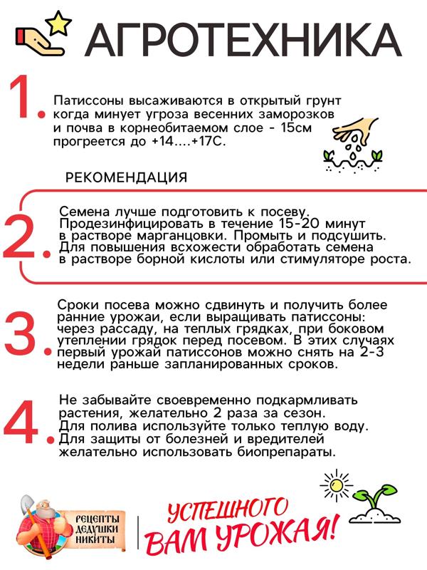 Семена Патиссон 