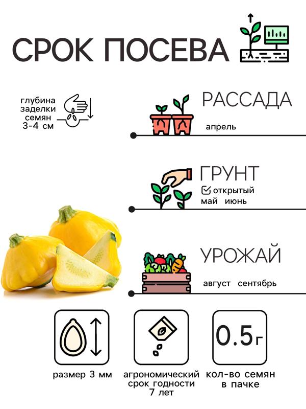 Семена Патиссон 