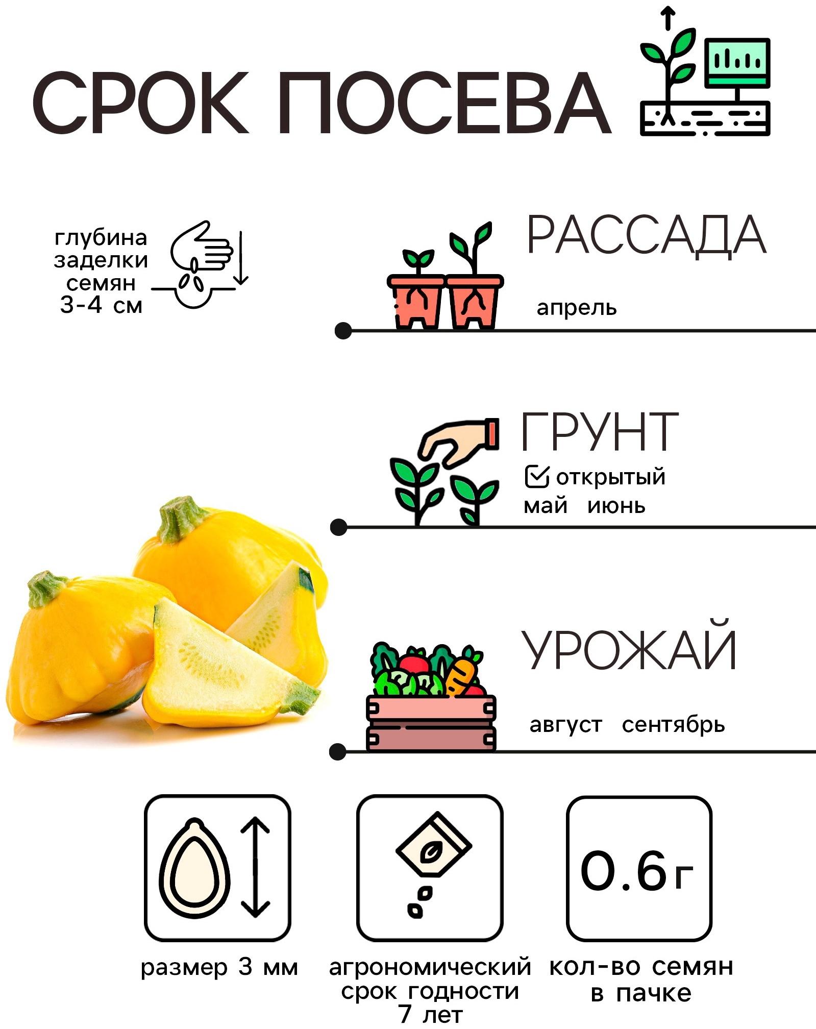 Семена Патиссон 