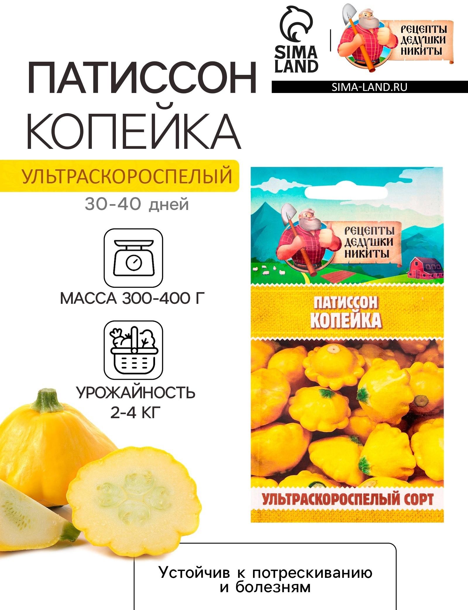 Семена Патиссон 