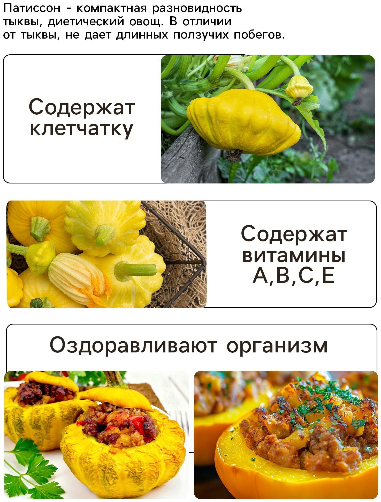 Семена Патиссон 