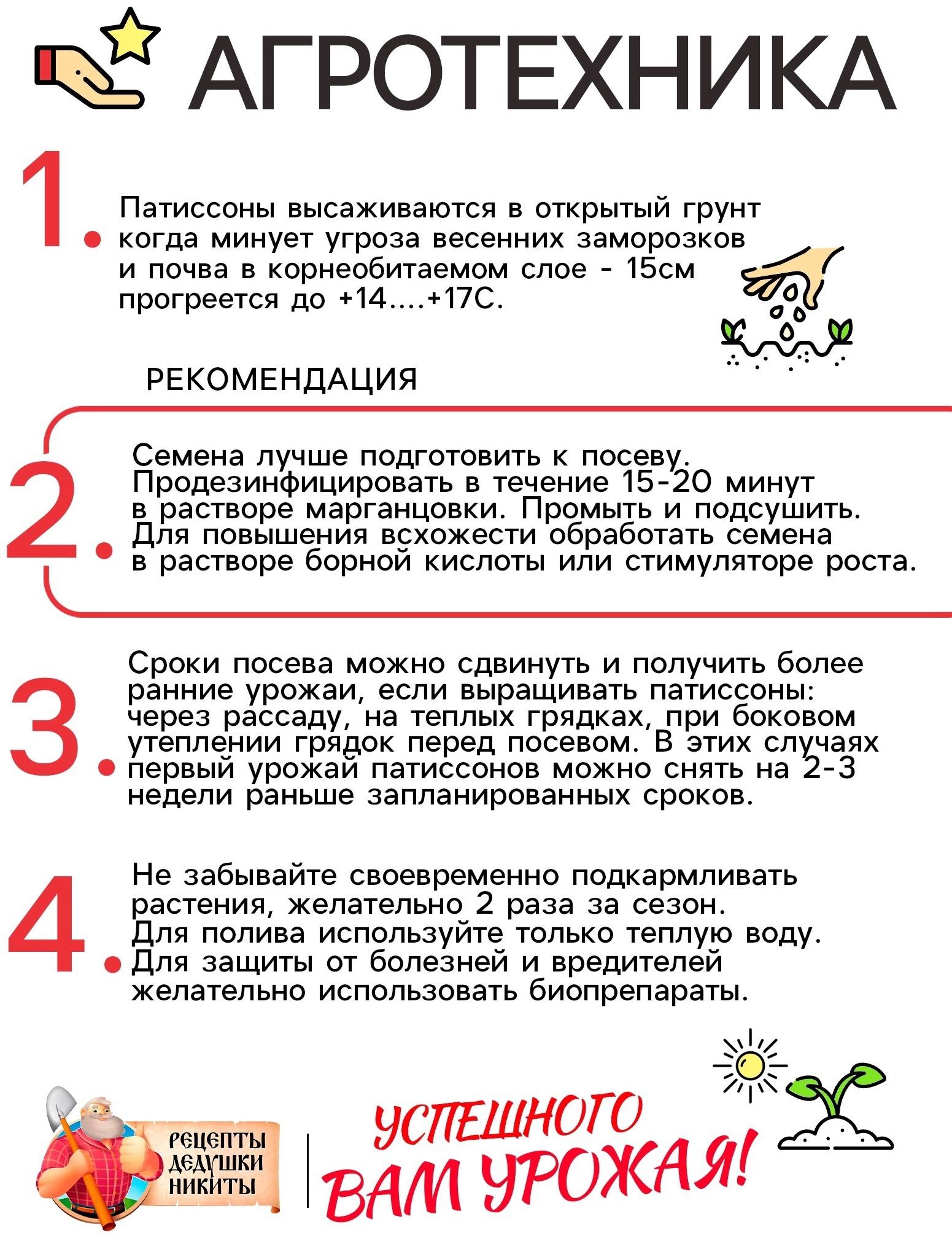 Семена Патиссон 