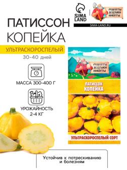 Семена Патиссон 