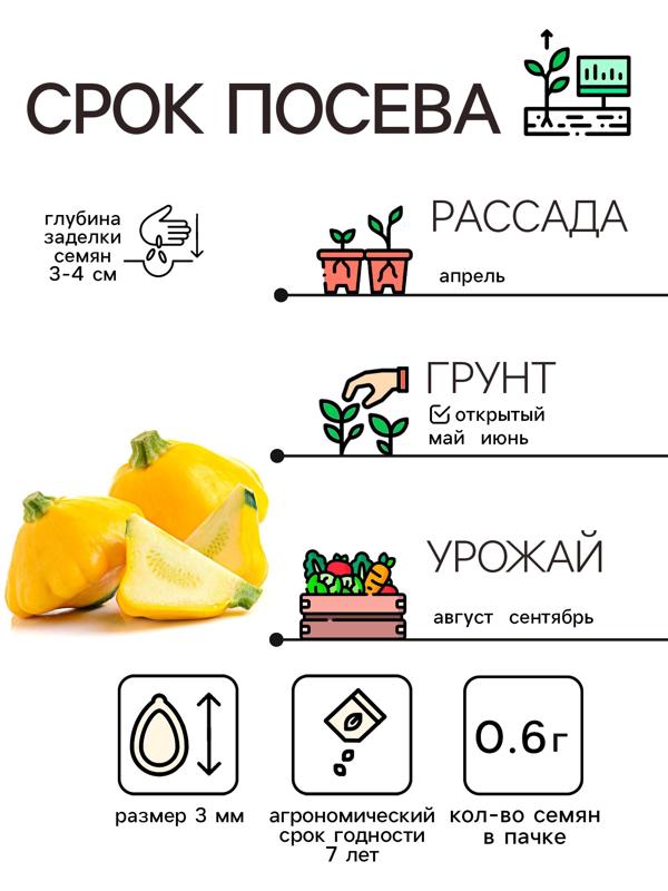 Семена Патиссон 