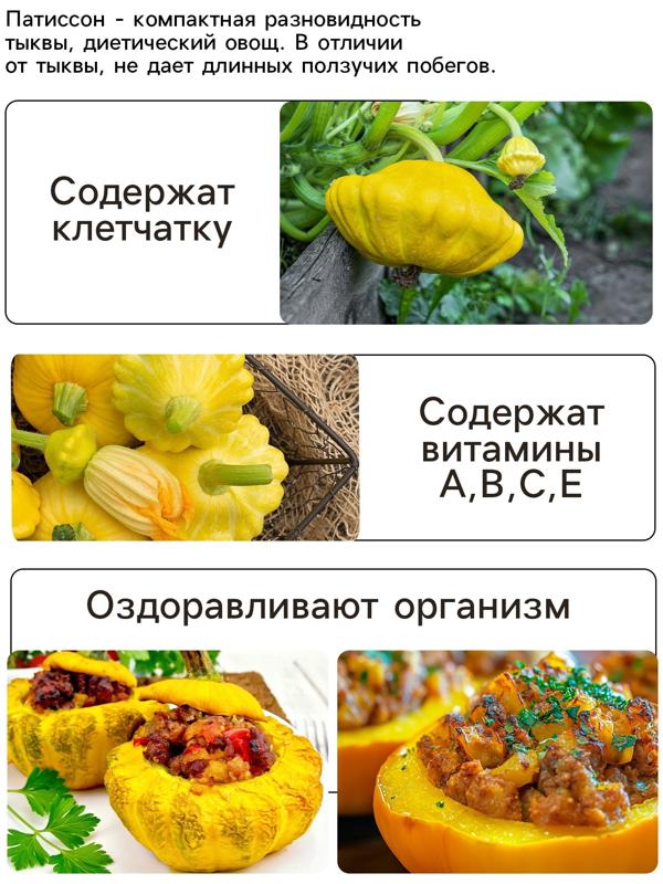 Семена Патиссон 