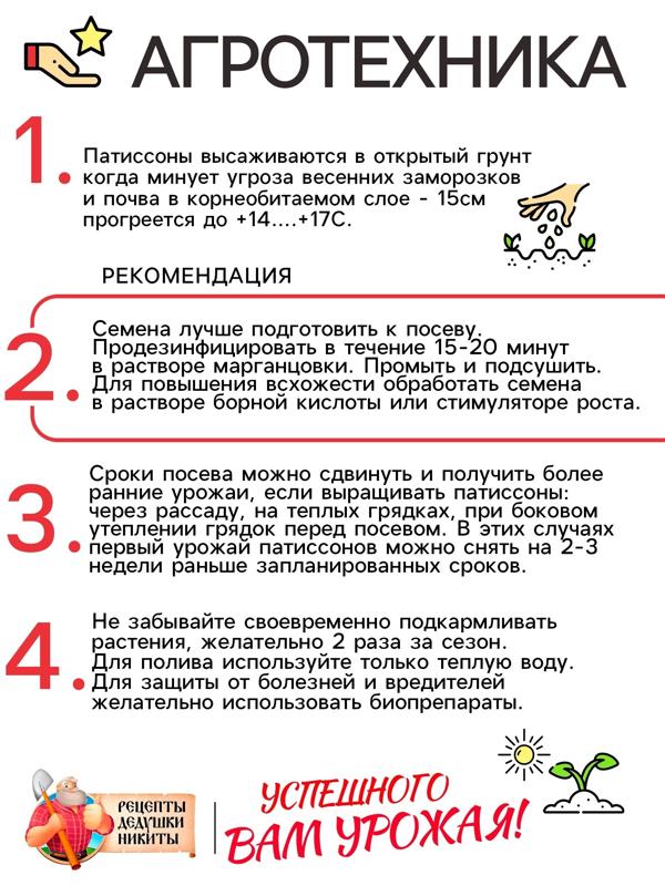 Семена Патиссон 