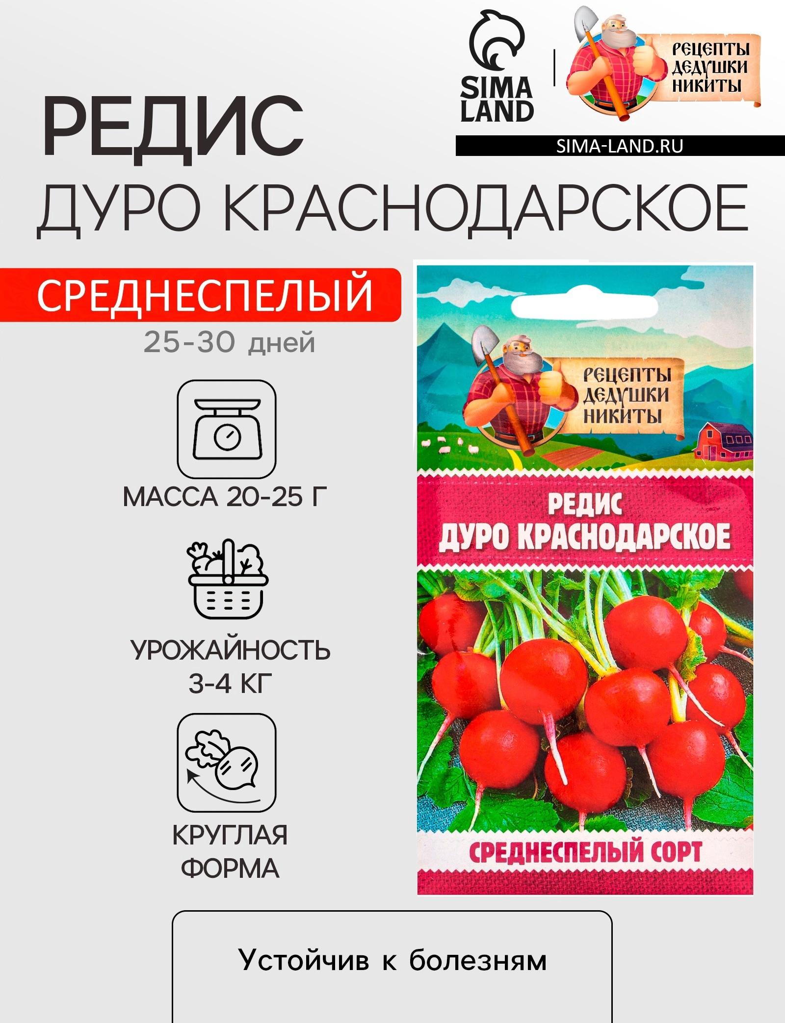 Семена Редис 