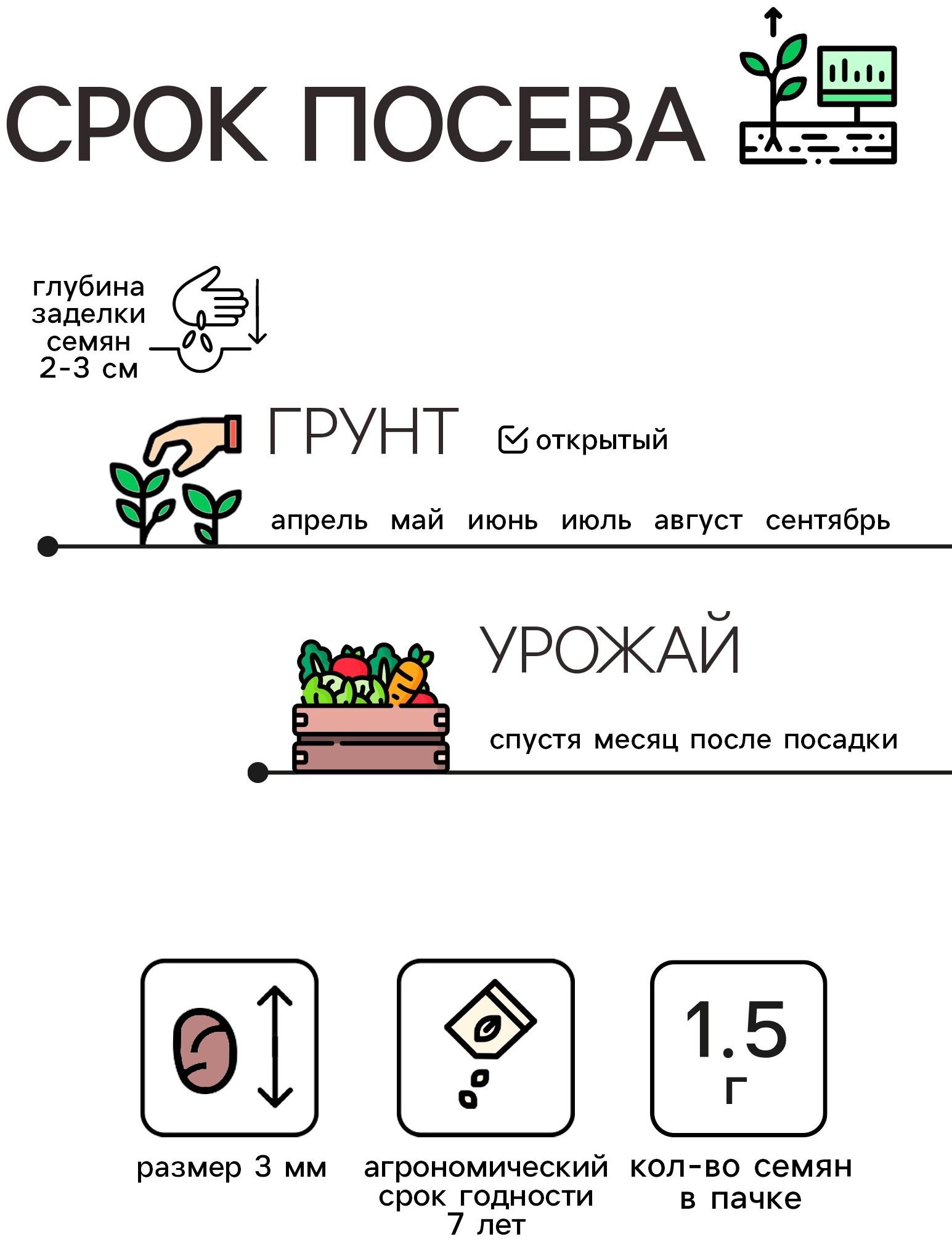 Семена Редис 