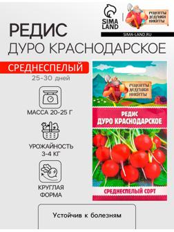 Семена Редис 