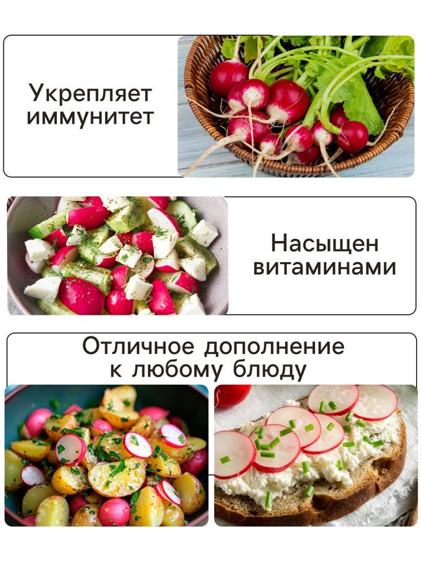 Семена Редис 