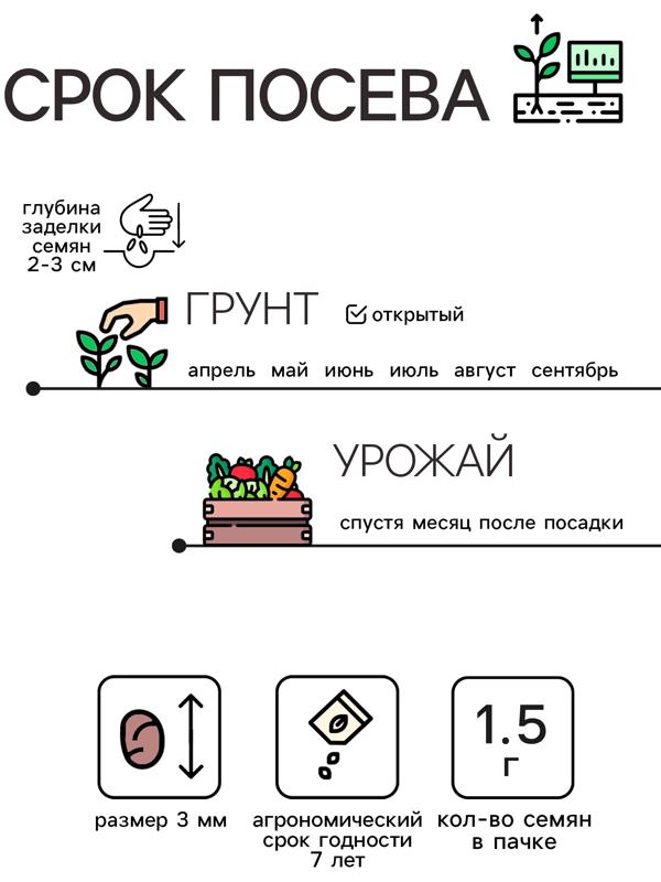 Семена Редис 