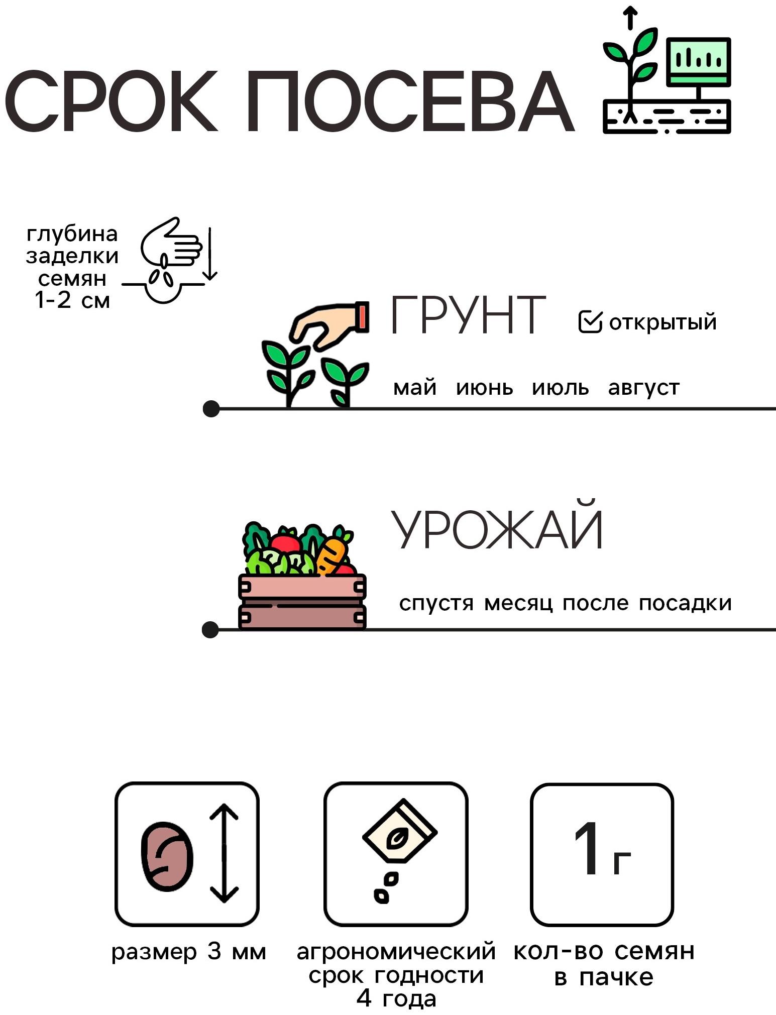 Семена Редис 