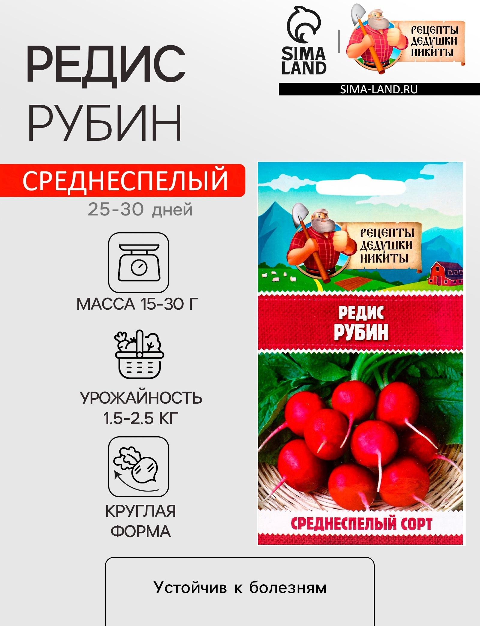 Семена Редис 