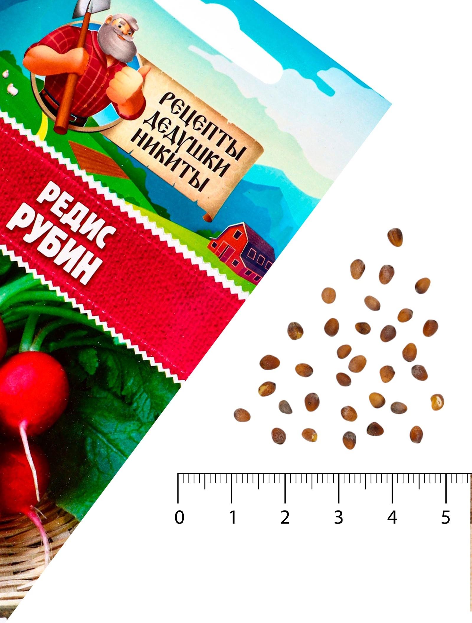 Семена Редис 