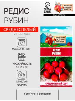 Семена Редис 