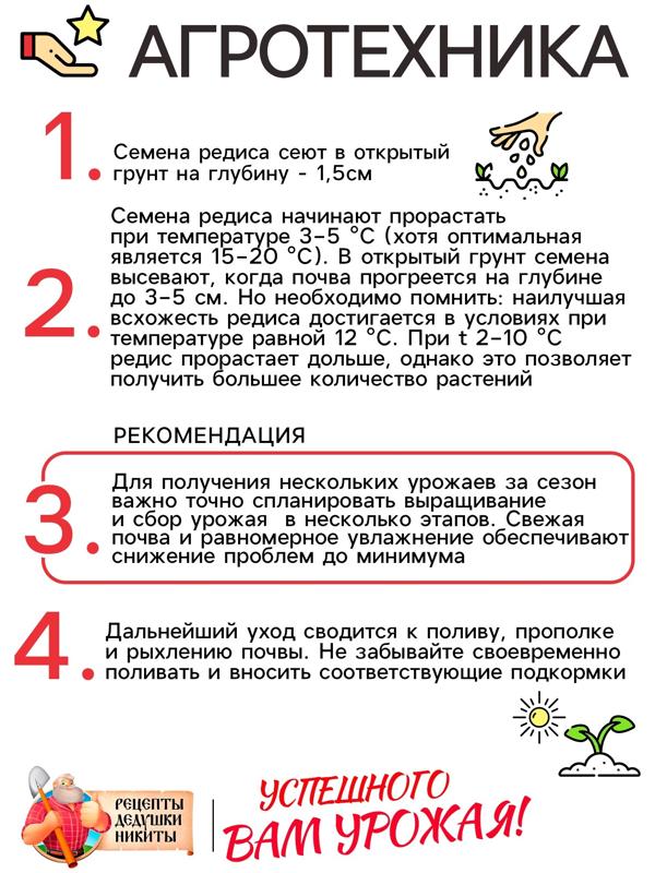 Семена Редис 