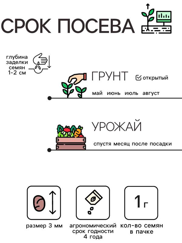 Семена Редис 