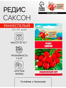 Семена Редис 